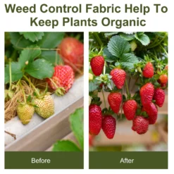 Outsunny 2 X 50 M Fabric Landscape Weed Barrier -Günstiges Grün Ecke Geschäft 1624271851 33238600 0197bfd0 7ca2 4353 8b8d e749ed785bfd