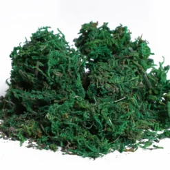 Outsunny Set Of 2 Artificial Boxwood Plant Tree's With Pot - Green -Günstiges Grün Ecke Geschäft 1624275725 26105600