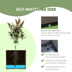 Outsunny 2-Piece Raised Garden Bed Planter Box Brown -Günstiges Grün Ecke Geschäft 9Xfa0917edc659cf3 a87c3be4 fe07 4f6d 876d 7cbb51d6370b